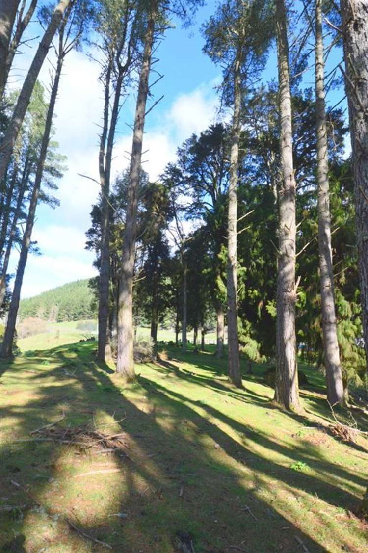 1513 Hikumutu Road Taumarunui_36