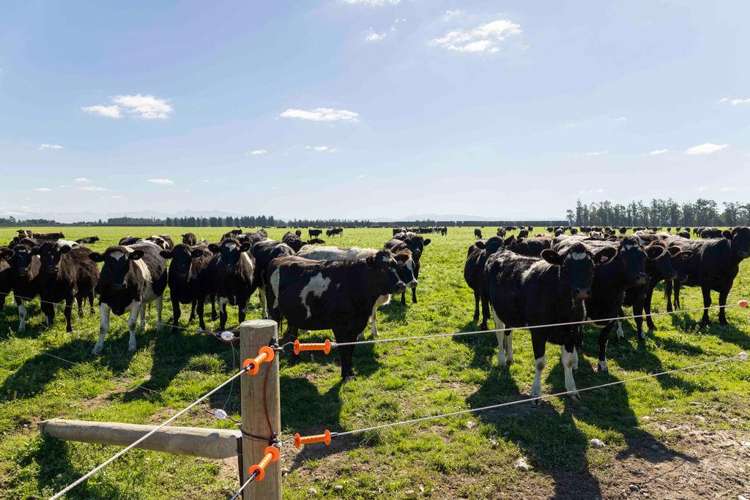 1329 Wards Road Darfield_6