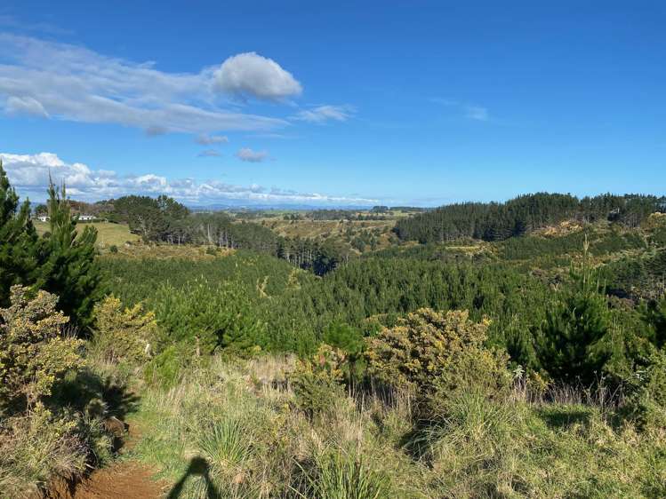 Lot 6 Tram Gully Road Awhitu_5