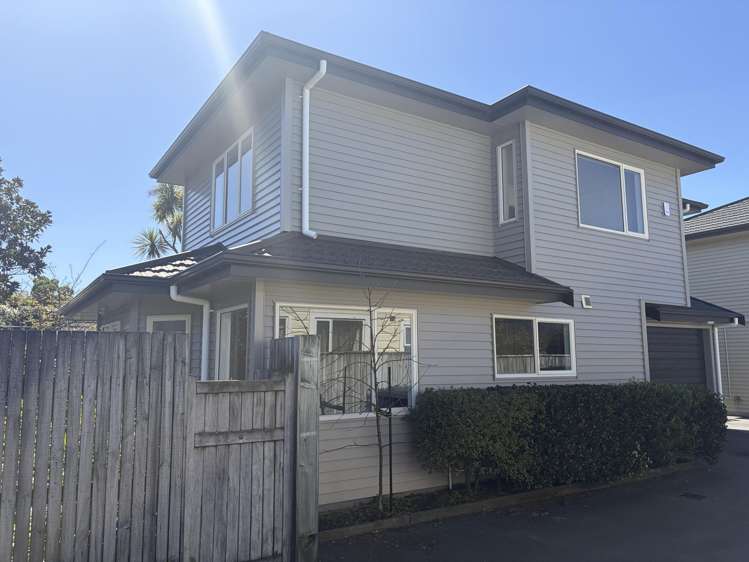 10 Trafalgar Street Johnsonville_10