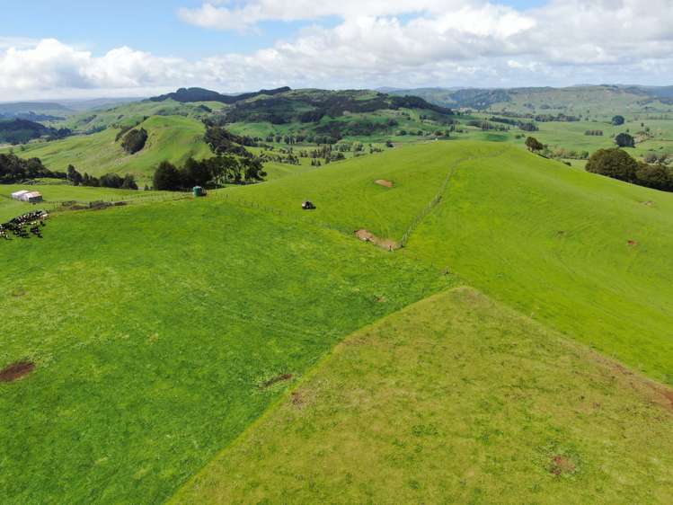 Lot (Rural)/1246 State Highway 3 Piopio_10