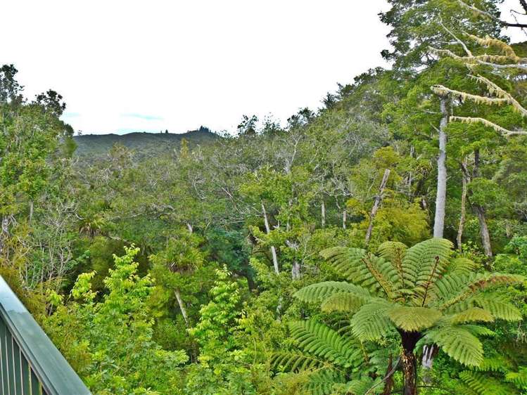 9 Hihitahi Rise Paihia_7