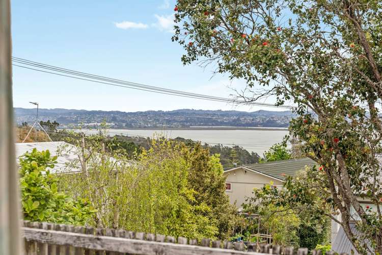 1/25a Balmain Road Birkenhead_17