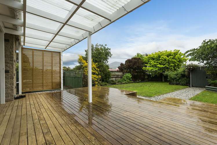 11 Vampire Road Waldronville_12