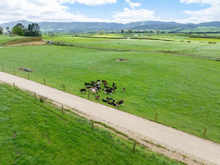 128 Rapurapu Road, Te Poi Matamata_11