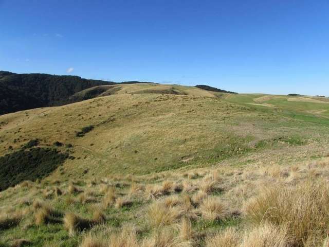 42 Bushside Road West Otago Surrounds_1