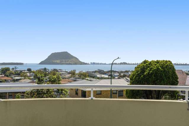Three-Level Living with Mauao Views