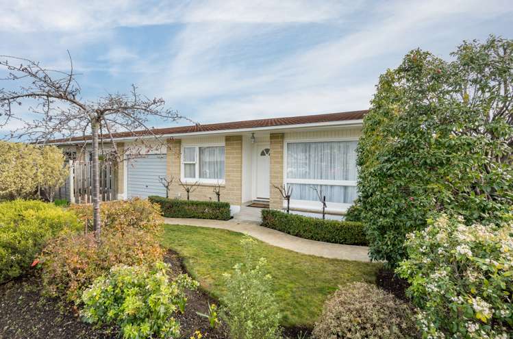110 Nayland Road_0
