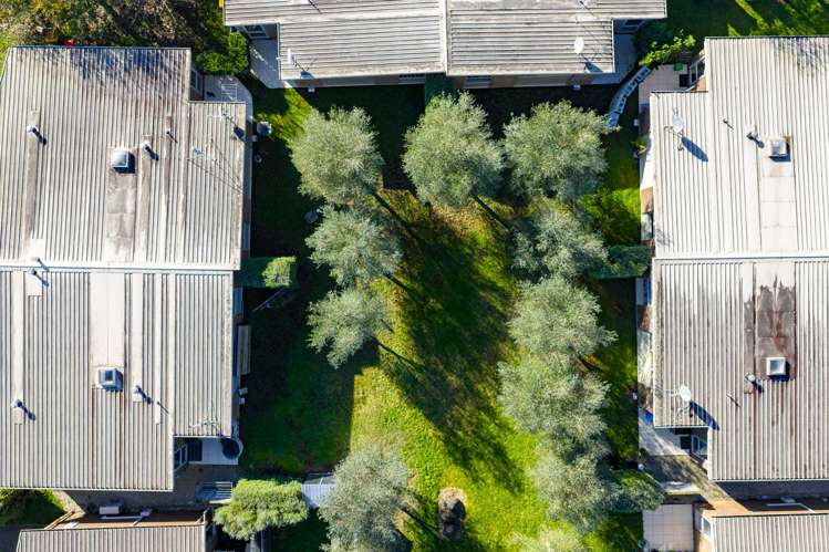 44/46 Peachgrove Road Hamilton East_6