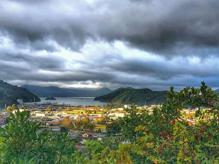 18 Dorset Street Picton_9