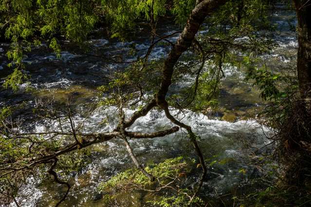 101 Gowan Valley Road Gowanbridge_3