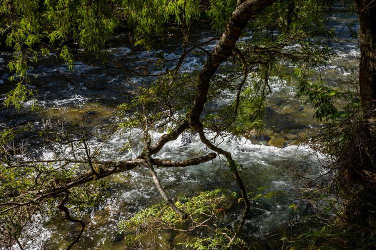 101 Gowan Valley Road Gowanbridge_3