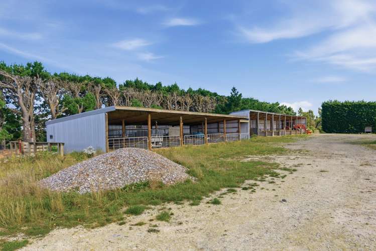 263 Domain Road Oxford_14