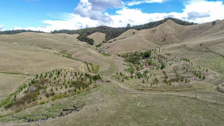 2586 State Highway 2 Maramarua_7