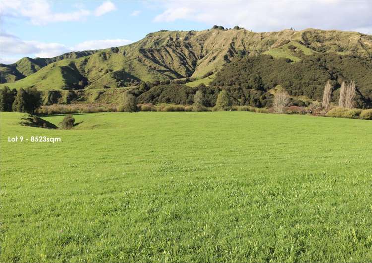 632 Mangaotuku Road Tututawa_15