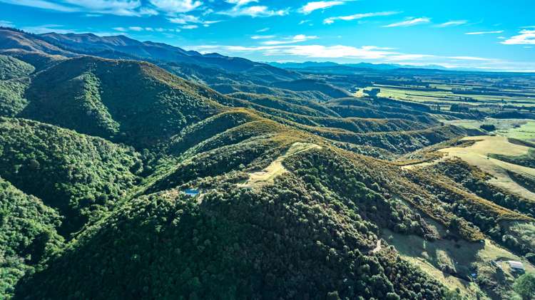 439 Engelbrechts Road Hunter_41