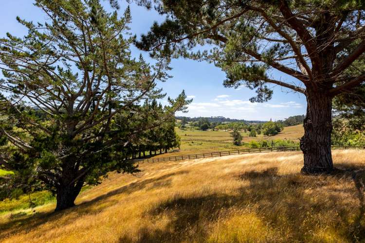 9 Aurea Terrace Kumeu_7