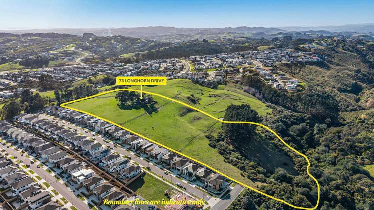 73 Longhorn Drive Flat Bush_8