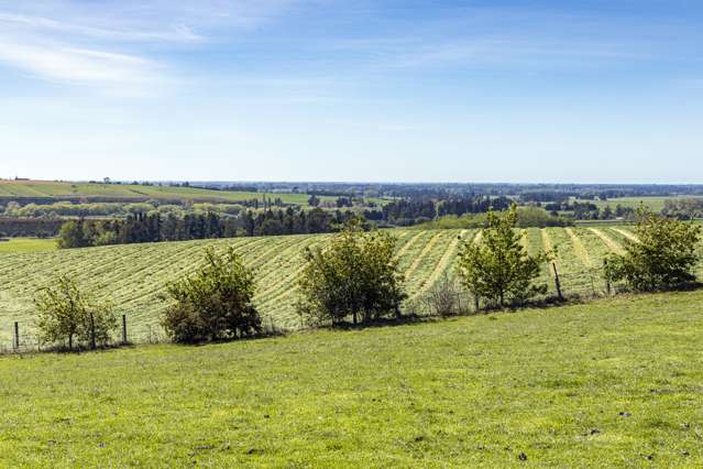 91 Brophy Road Geraldine_3