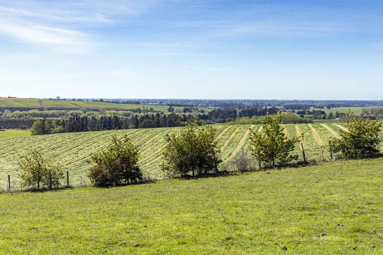 91 Brophy Road Geraldine_3