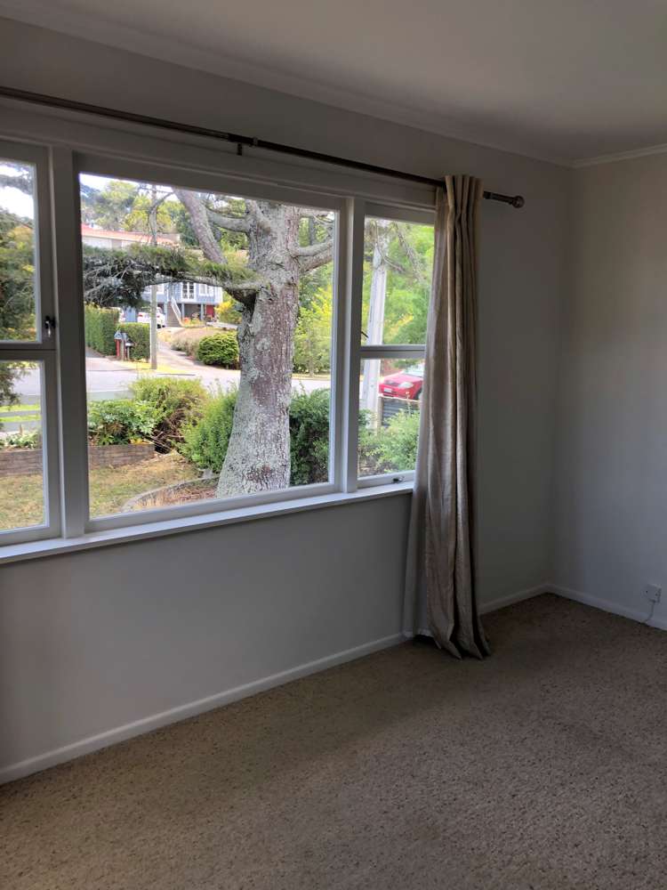 37 Arthur Road Hillpark_9