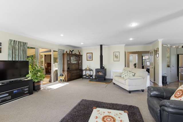 120 Homebush Road Glentunnel_3