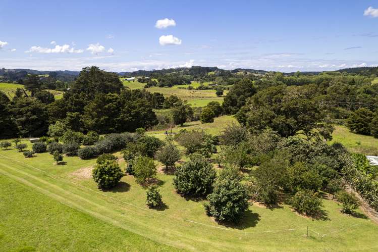 704a Ngunguru Road Glenbervie_1