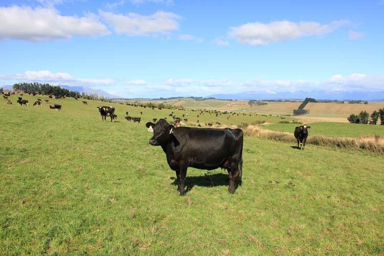 893 Kakapo Road Te Anau_8