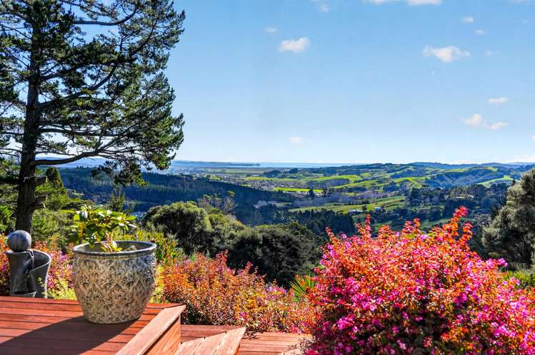 397 Wishart Road Helensville_7
