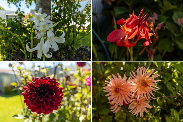 7b Mowat Street Springlands_20