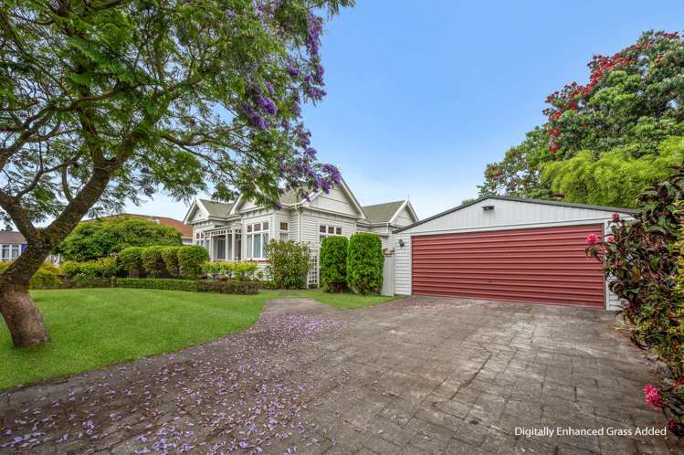 118 Vigor Brown Street Napier South_4