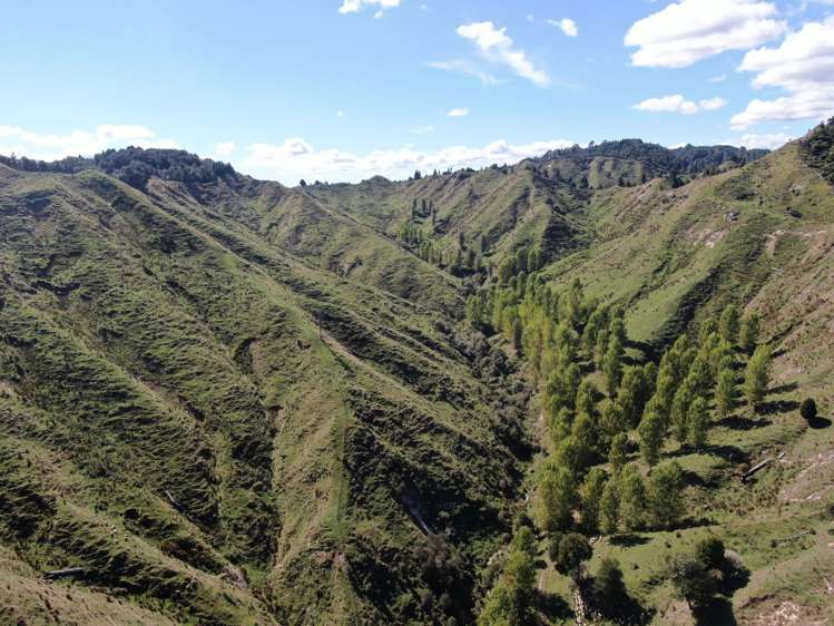 808 Roto Road Ohura_10