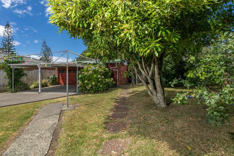 11 Kingdale Road Henderson_17