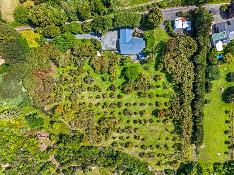 78B Neewood Road Ohauiti_15