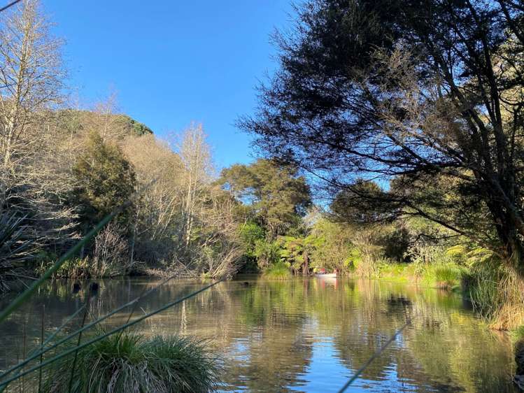 7 Pinnacle Hill Road Mangatawhiri_5
