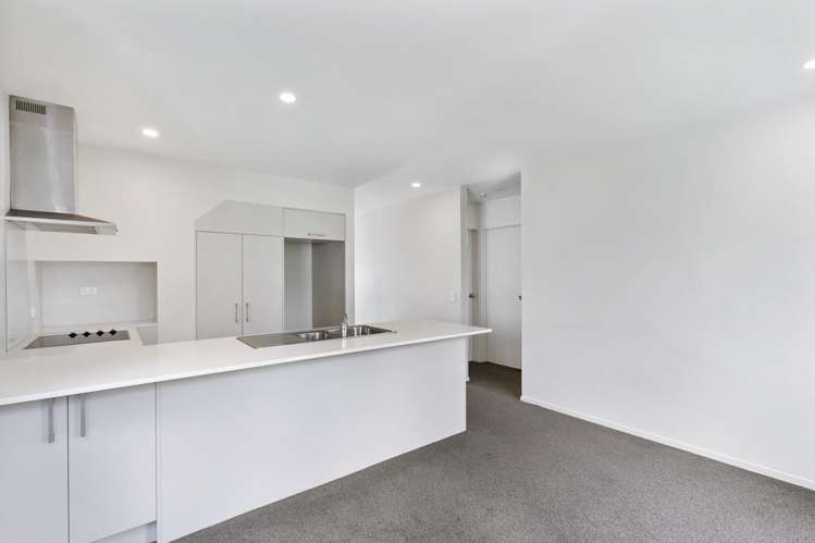 41 Tribute Loop Takanini_8