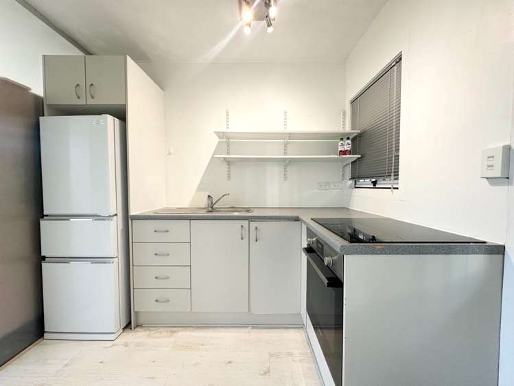 4/5 Claybrook Road Parnell_5