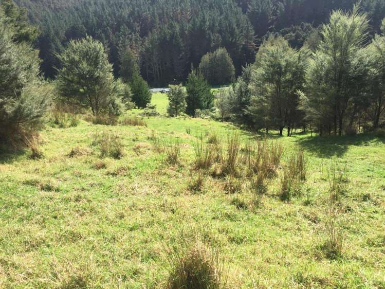 326 Ahuroa Valley Road Makarau_17