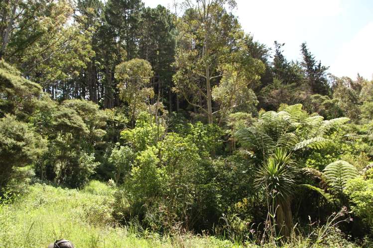 Puhata Road Herekino_5