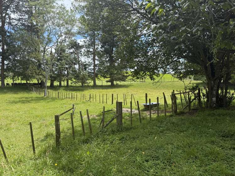 15 Scott Road Putaruru_27