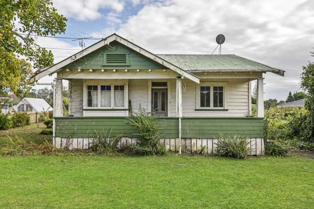 117 Seabrook Avenue New Lynn_1