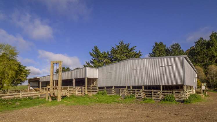 10284 Route 52 Pongaroa_7