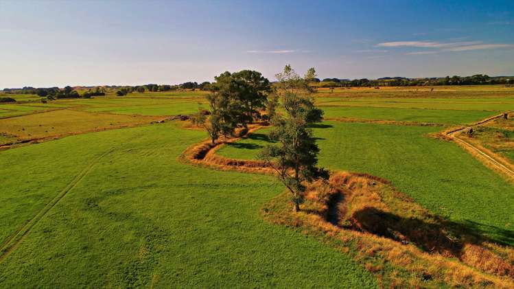 134 Waikawa Beach Road Manakau_8