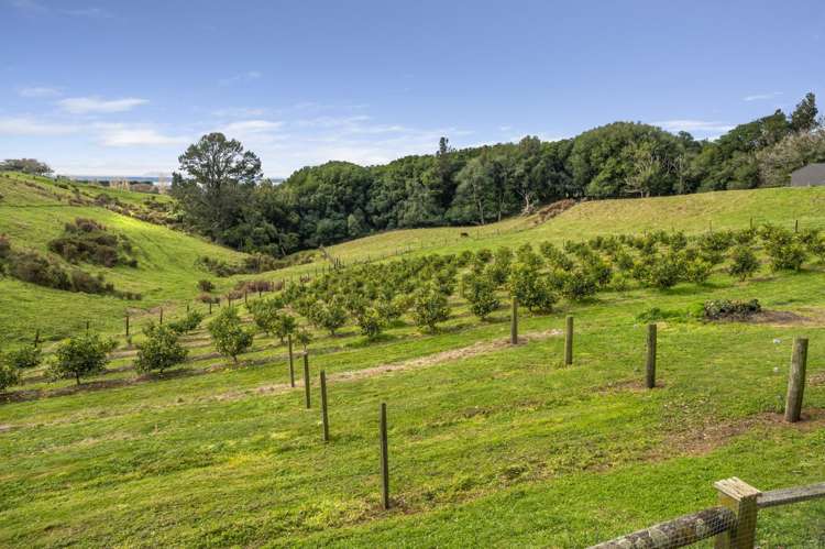 695A Esdaile Road Whakamarama_30
