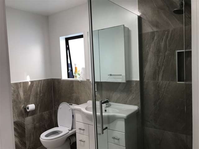 2a Noton Road Mount Roskill_3