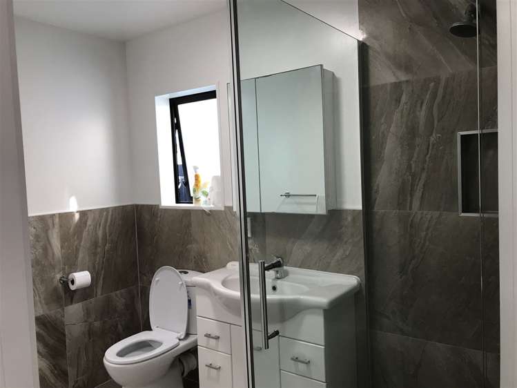 2a Noton Road Mount Roskill_3