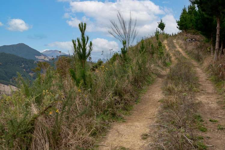 266 Wairoa Gorge Road Brightwater_31