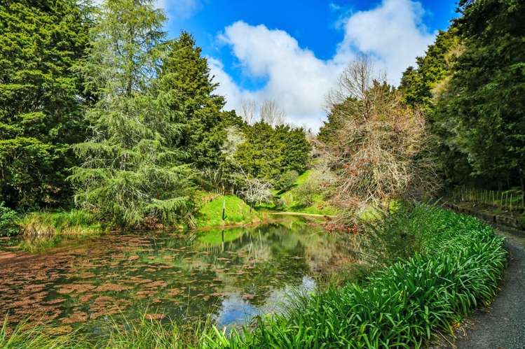 62 Old Coach Way Ramarama_30