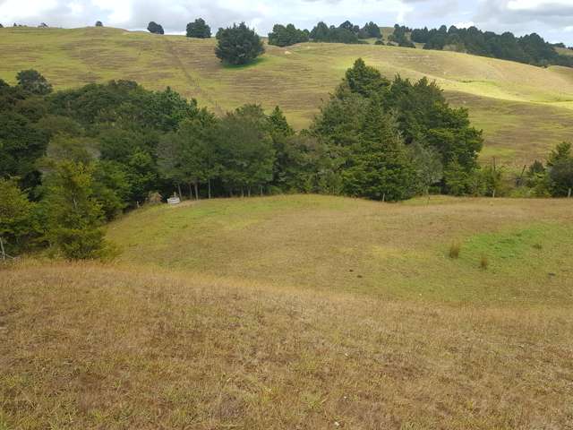 160 Otuhi Road Mangapai and Surrounds_2