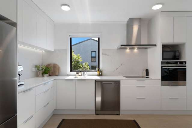 101/1A Derna Road Panmure_3